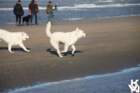 img_4819_small.jpg