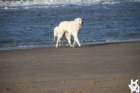img_4841_small.jpg