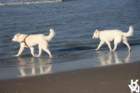 img_4849_small.jpg
