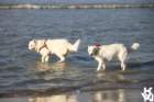 img_4852_small.jpg