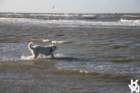 img_4864_small.jpg