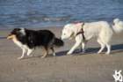 img_4886_small.jpg