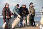 img_4898_small.jpg