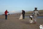 img_4921_small.jpg