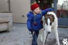 img_4941_small.jpg