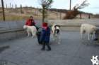 img_4943_small.jpg