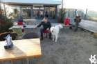 dsc01856_small.jpg
