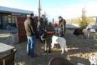 dsc01858_small.jpg