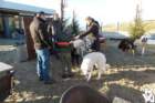 dsc01859_small.jpg