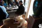 dsc01861_small.jpg