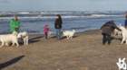 dsc01862_small.jpg