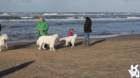 dsc01863_small.jpg
