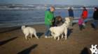 dsc01865_small.jpg