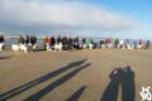 dsc01866_small.jpg