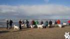 dsc01867_small.jpg