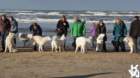 dsc01868_small.jpg