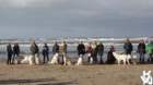 dsc01885_small.jpg