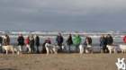dsc01886_small.jpg