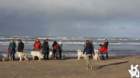 dsc01887_small.jpg