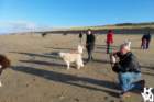dsc01888_small.jpg