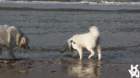 dsc01893_small.jpg