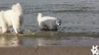 dsc01894_small.jpg