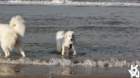 dsc01895_small.jpg