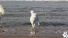 dsc01896_small.jpg