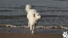 dsc01898_small.jpg