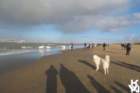 dsc018992_small.jpg
