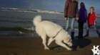 dsc01899_small.jpg