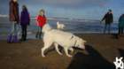 dsc01900_small.jpg