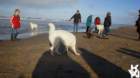 dsc01901_small.jpg