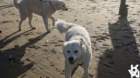 dsc01903_small.jpg