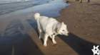 dsc01904_small.jpg