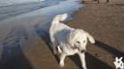dsc01905_small.jpg