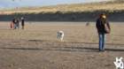 dsc01907_small.jpg