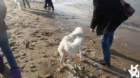 dsc01919_small.jpg