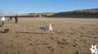 dsc01921_small.jpg