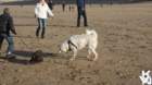 dsc01922_small.jpg