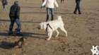 dsc01923_small.jpg