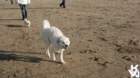 dsc01924_small.jpg