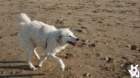 dsc01925_small.jpg