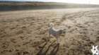 dsc01927_small.jpg