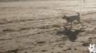 dsc01931_small.jpg