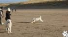 dsc01932_small.jpg