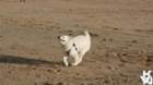 dsc01933_small.jpg