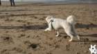 dsc01934_small.jpg