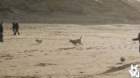 dsc01936_small.jpg