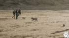 dsc01937_small.jpg